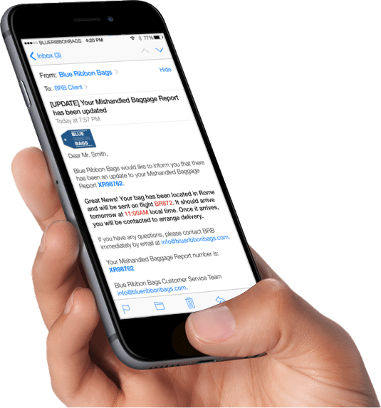 Blue Ribbon Bags Feature