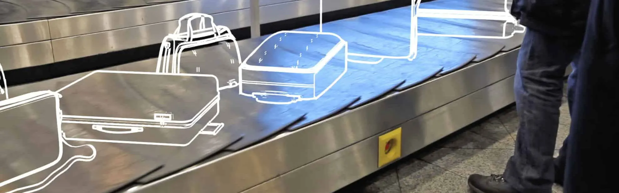 Blue Ribbon Bags luggage